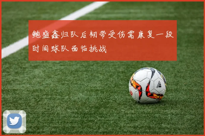 鲍盛鑫归队后韧带受伤需康复一段时间球队面临挑战