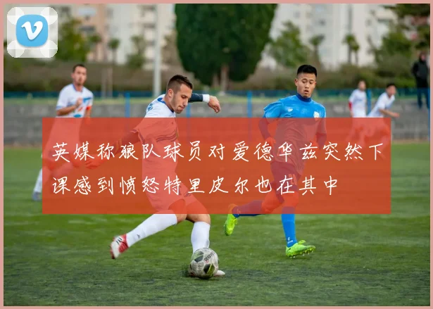 英媒称狼队球员对爱德华兹突然下课感到愤怒特里皮尔也在其中